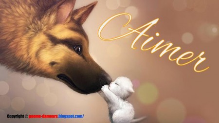 AIMER