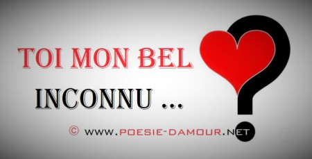 TOI MON BEL INCONNU